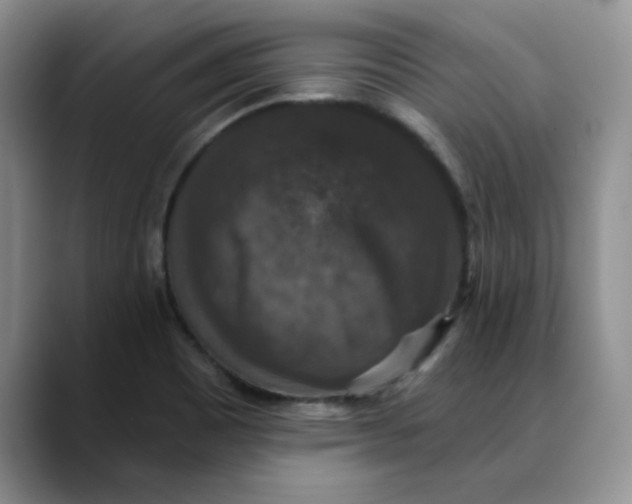 X0000088431465200706121442