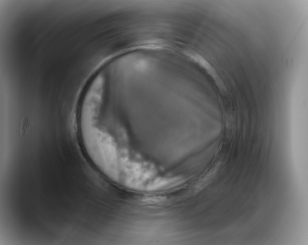 X0000088431466200706121442