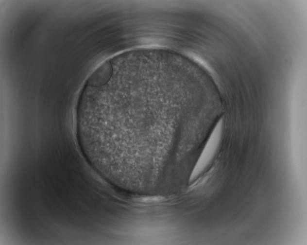 X0000088431467200706121442