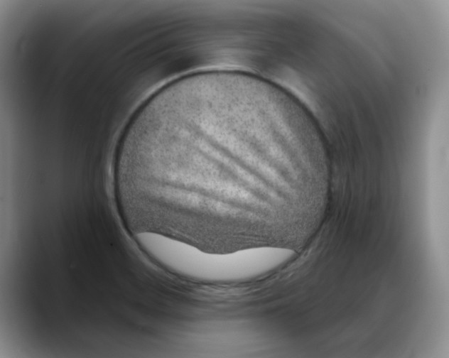 X0000088431468200706121442