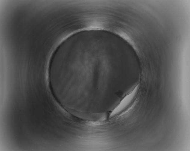 X0000088431469200706121442