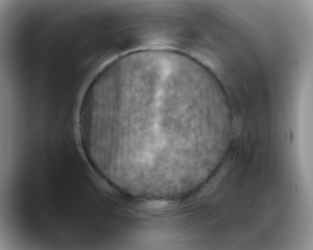 X0000088431470200706121442