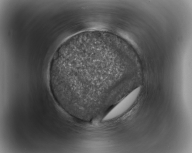 X0000088431471200706121442