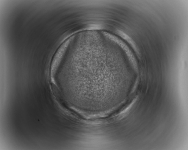 X0000088431473200706121442