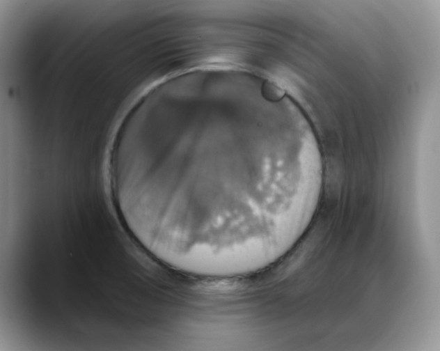 X0000088431474200706121442