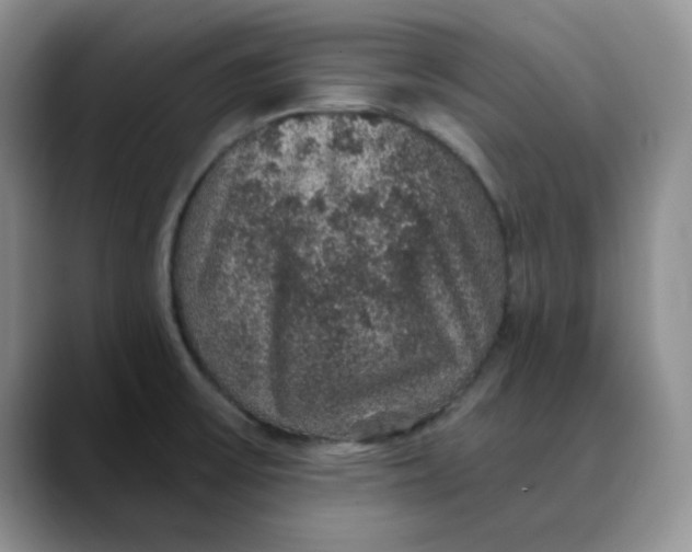 X0000088431475200706121442