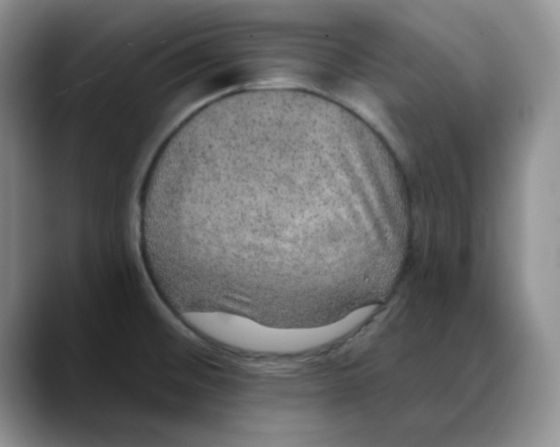 X0000088431476200706121442