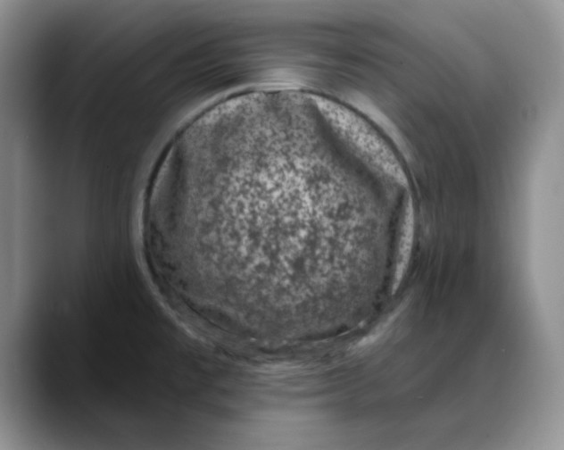 X0000088431477200706121442