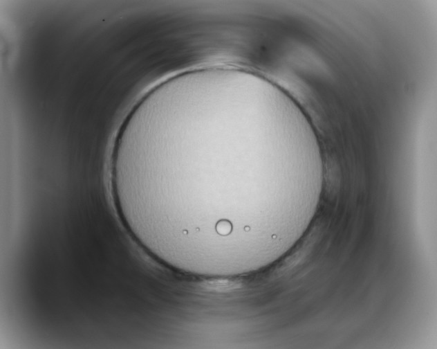 X0000088431478200706121442