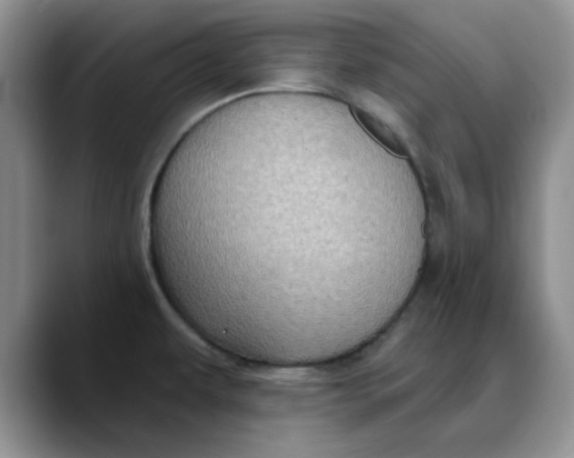 X0000088431479200706121442