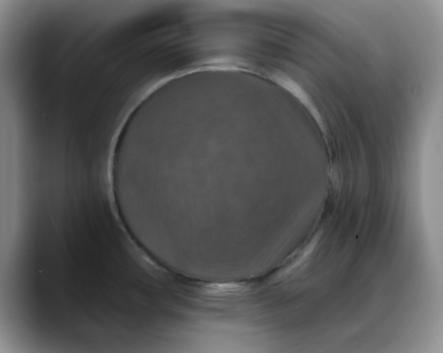 X0000088431482200706121442