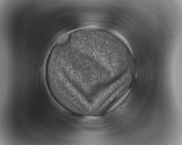 X0000088431483200706121442