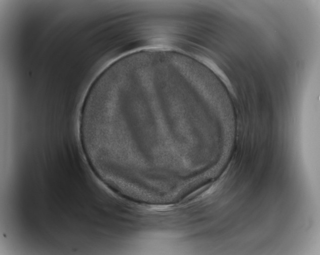 X0000088431484200706121442