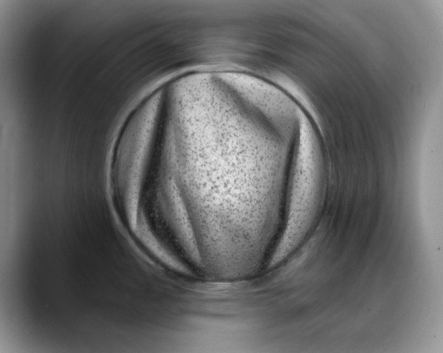 X0000088431485200706121442