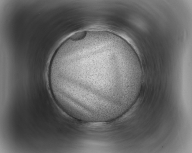 X0000088431486200706121441