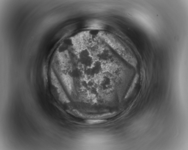 X0000088431487200706121441