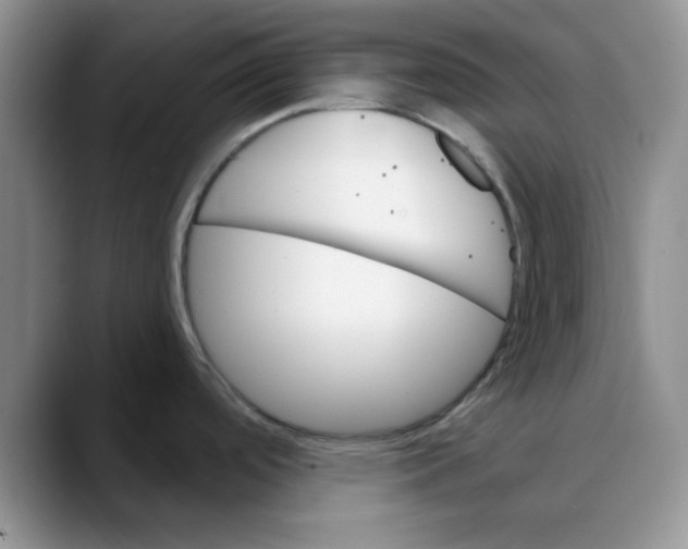 X0000088431488200706121441