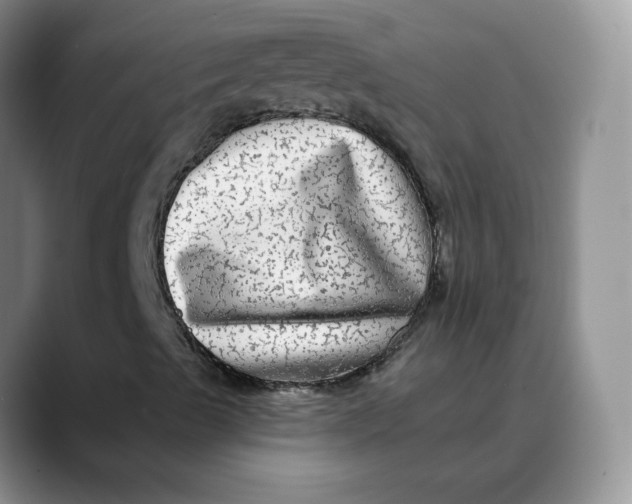 X0000088431489200706121441