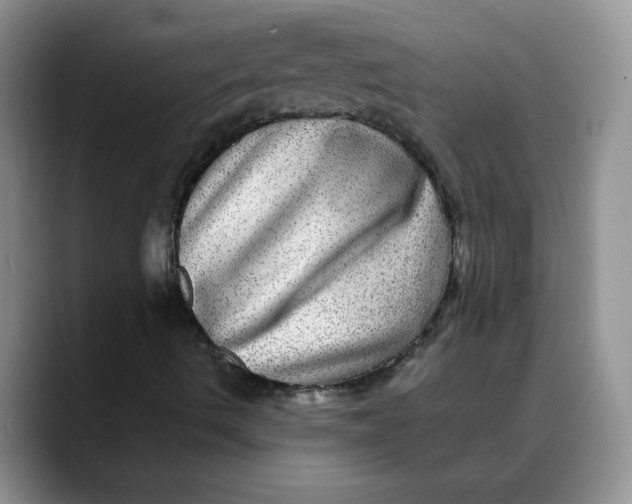 X0000088431490200706121441