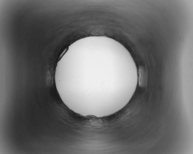 X0000088431491200706121441