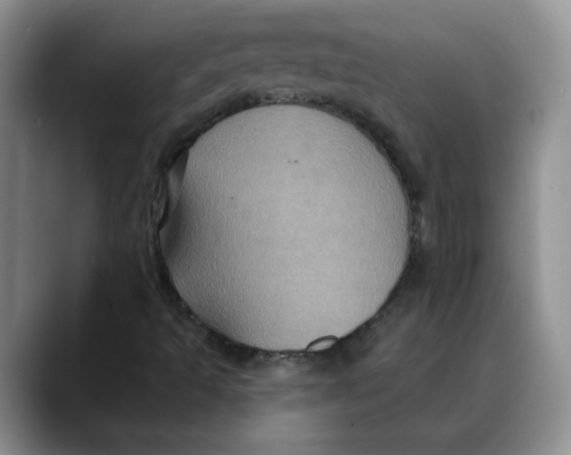 X0000088431493200706121441