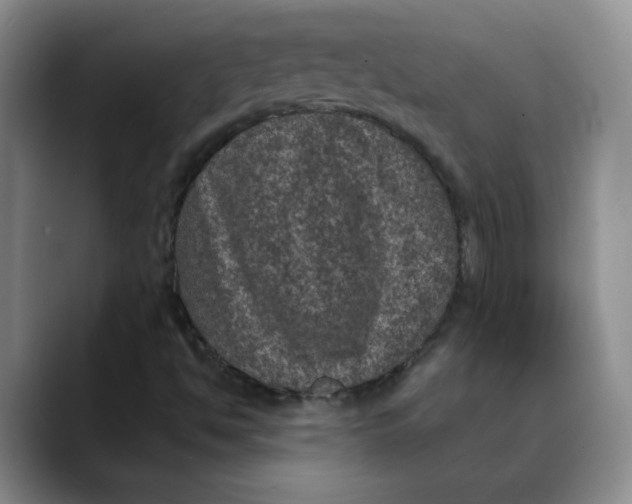 X0000088431494200706121441