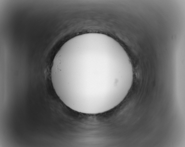 X0000088431495200706121441