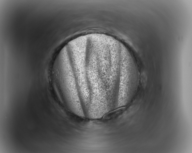 X0000088431496200706121441