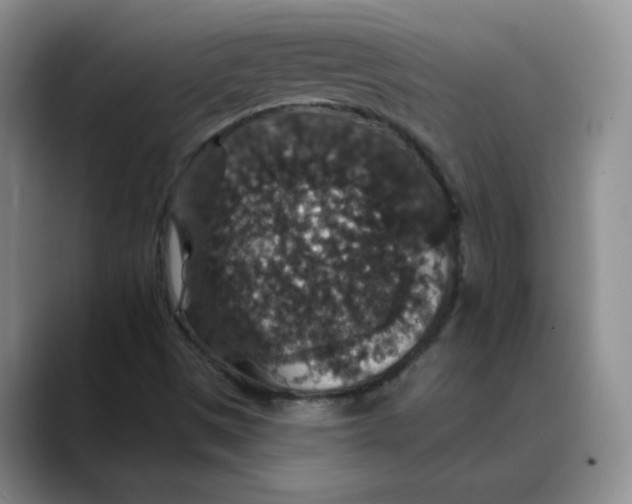 X0000088431497200706121441