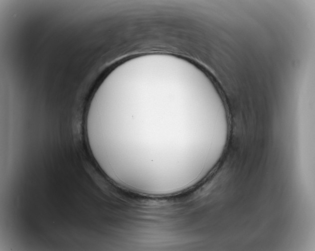 X0000088431499200706121441