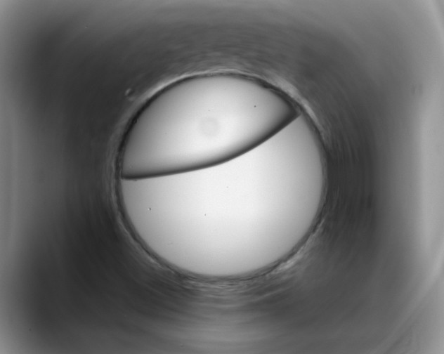 X0000088431500200706121441