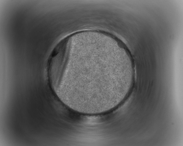 X0000088431501200706121441