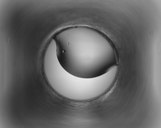 X0000088431502200706121441