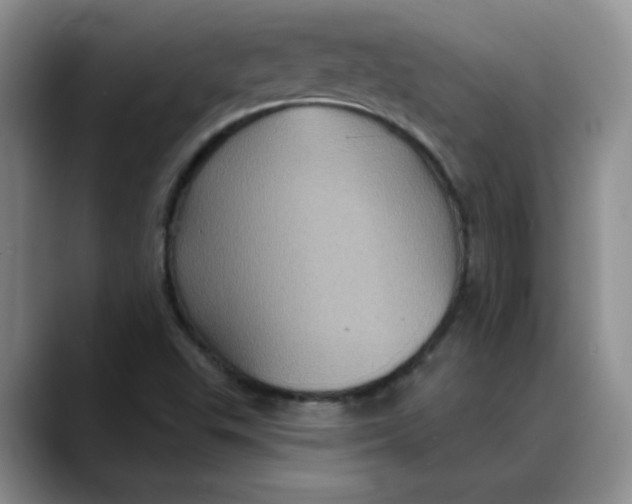 X0000088431503200706121441