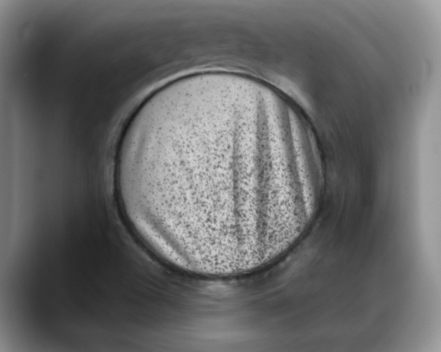 X0000088431504200706121441