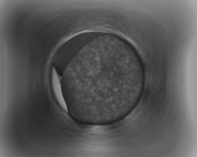 X0000088431506200706121441