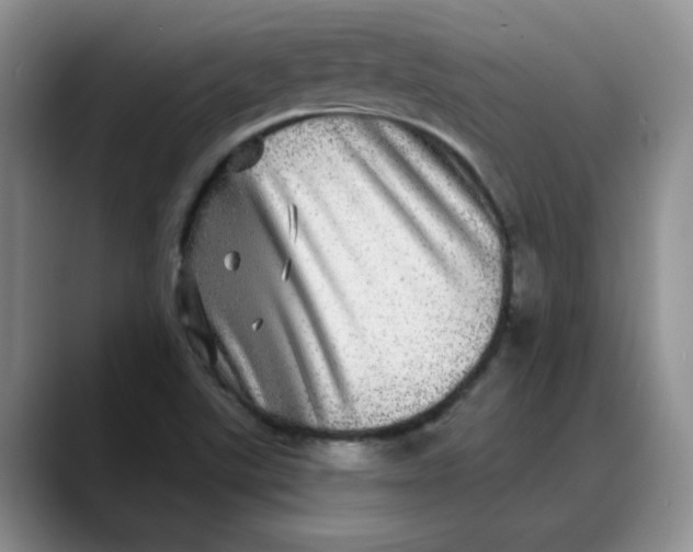 X0000088431507200706121441