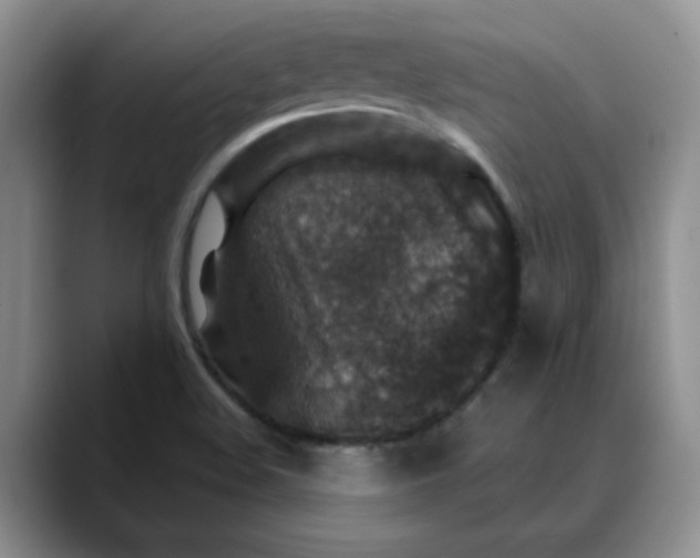 X0000088431508200706121441