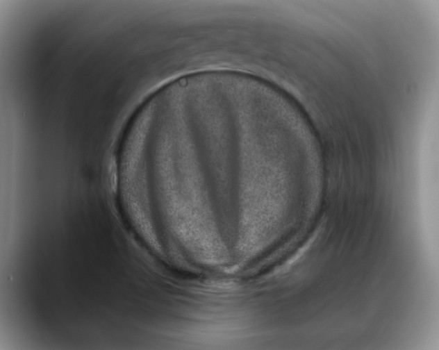 X0000088431509200706121441