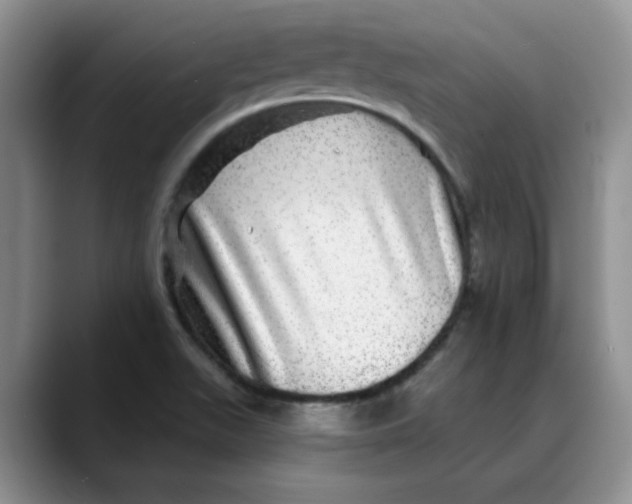 X0000088431511200706121441