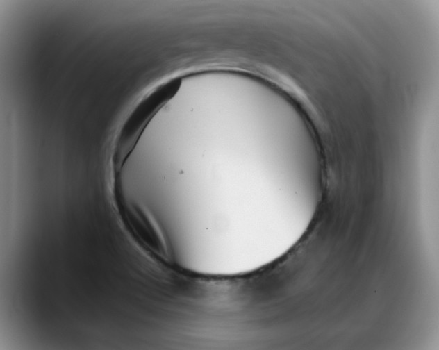 X0000088431512200706121441