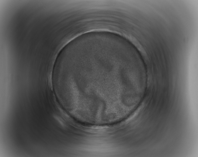 X0000088431513200706121441