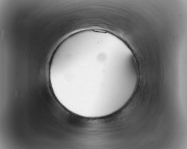 X0000088431516200706121441