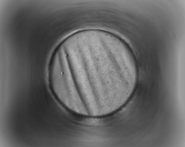 X0000088431517200706121441