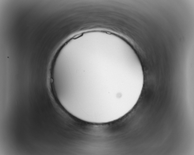 X0000088431518200706121441