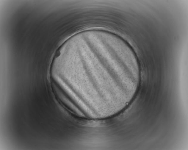 X0000088431521200706121441