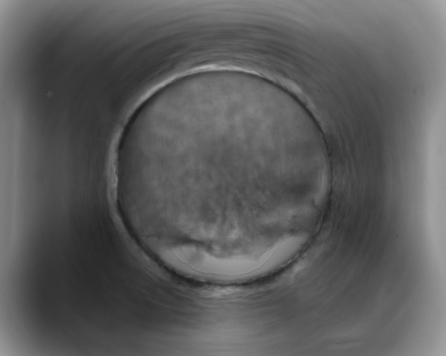 X0000088431522200706121441