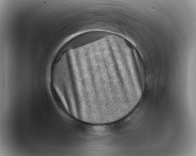 X0000088431523200706121441