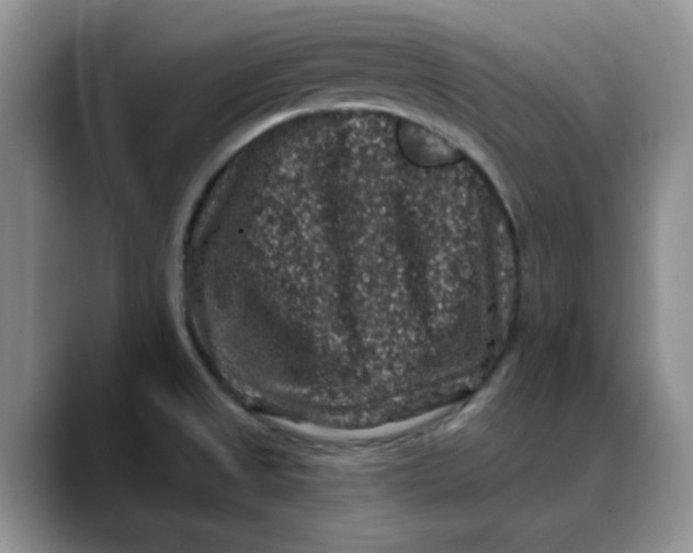 X0000088431525200706121441