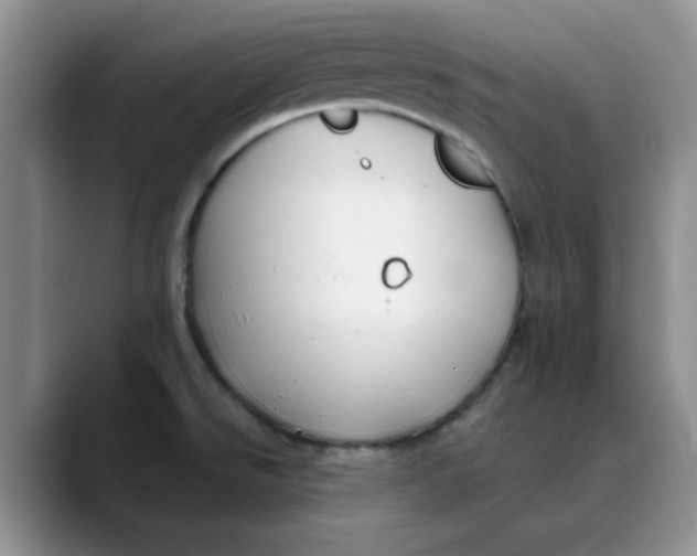 X0000088431526200706121441